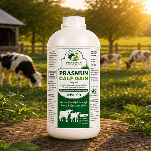 Prasmun Calf Gain (Liquid) | Main | Prasmun Vet Care Pvt. Ltd.