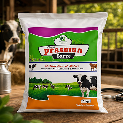 Prasmun Fort (Powder) | Main | Prasmun Vet Care Pvt. Ltd.