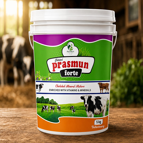 Prasmun Fort (Powder) | Main | Prasmun Vet Care Pvt. Ltd.
