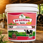Prasmun Fort Super  (Powder) (Bucket)