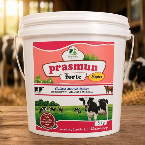Prasmun Fort Super  (Powder) | Main | Prasmun Vet Care Pvt. Ltd.