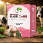Prasmun Masti Care (Powder)