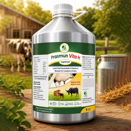 Prasmun Vita-H (Liquid ) AB | Main | Prasmun Vet Care Pvt. Ltd.