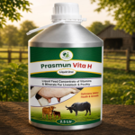 Prasmun Vita-H (Liquid ) AB